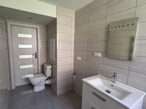 Prodej bytu 2+1, Horní Slavkov, Dlouhá, 49 m2