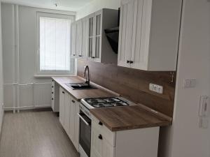 Prodej bytu 2+1, Horní Slavkov, Dlouhá, 49 m2