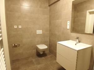 Pronájem bytu 2+kk, Blovice, Javorová, 46 m2