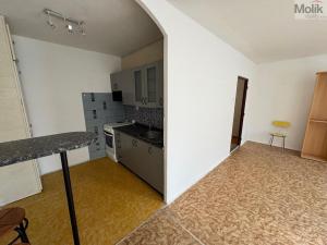 Pronájem bytu 1+kk, Most, Česká, 34 m2