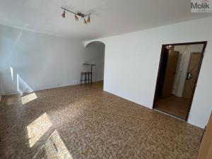 Pronájem bytu 1+kk, Most, Česká, 34 m2