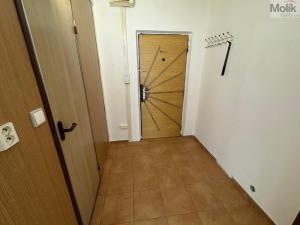 Pronájem bytu 1+kk, Most, Česká, 34 m2