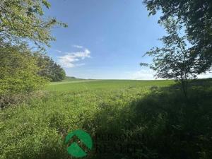 Prodej lesa, Krakov, 3934 m2