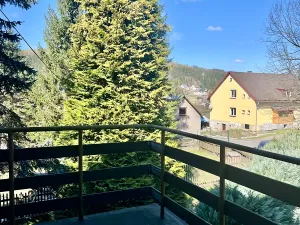 Prodej vícegeneračního domu, Mosty u Jablunkova, 300 m2