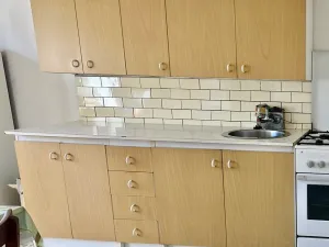 Prodej vícegeneračního domu, Mosty u Jablunkova, 300 m2