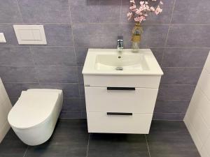 Pronájem bytu 2+kk, Roztoky, Braunerova, 60 m2