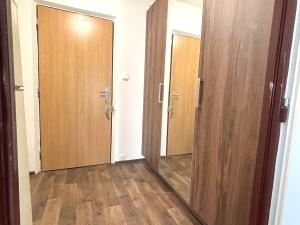 Pronájem bytu 1+kk, Plzeň, Manětínská, 26 m2