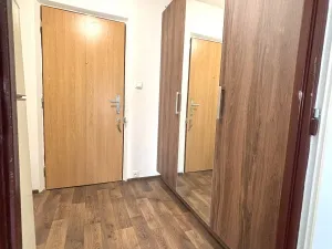 Pronájem bytu 1+kk, Plzeň - Bolevec, Manětínská, 26 m2