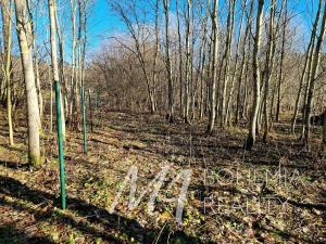 Prodej rodinného domu, Křižany, 82 m2