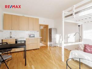 Prodej bytu 1+kk, Praha - Žižkov, Olšanská, 35 m2