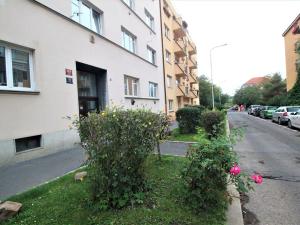 Pronájem bytu 1+kk, Praha - Vysočany, Pod strojírnami, 33 m2