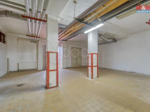 Pronájem skladu, Plzeň, Sousedská, 12 m2