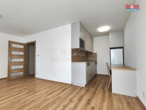 Pronájem bytu 1+kk, Brandýs nad Labem-Stará Boleslav - Brandýs nad Labem, Zahradnická, 33 m2