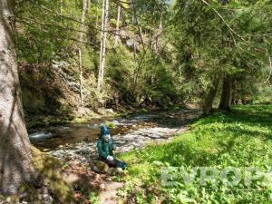 Prodej chalupy, Jestřabí v Krkonoších - Křížlice, Křížlice, 168 m2
