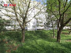 Prodej bytu 1+kk, Teplice, kpt. Jaroše, 33 m2