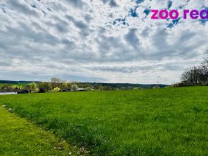 Prodej pozemku pro bydlení, Žimutice, 1179 m2