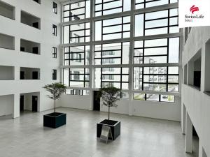 Pronájem bytu 1+kk, Plzeň, Františka Kováříka, 44 m2