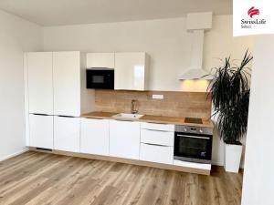 Pronájem bytu 1+kk, Plzeň, Františka Kováříka, 44 m2