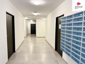 Pronájem bytu 1+kk, Plzeň, Františka Kováříka, 44 m2