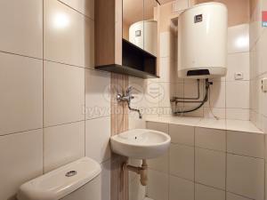 Pronájem bytu 1+kk, Mšecké Žehrovice, 21 m2