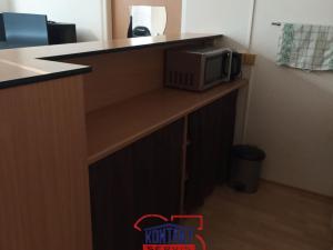 Pronájem bytu 1+1, České Budějovice, J. Buděšínského, 38 m2