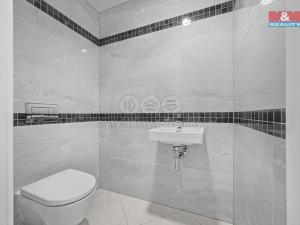 Prodej bytu 3+kk, Praha - Žižkov, Tetauerova, 91 m2