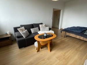 Pronájem bytu 1+1, Opava, Ratibořská, 35 m2
