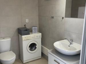 Pronájem bytu 1+1, Opava, Ratibořská, 35 m2
