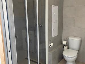 Pronájem bytu 1+1, Opava, Ratibořská, 35 m2