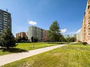 Pronájem bytu 1+1, České Budějovice - České Budějovice 2, M. Horákové, 31 m2