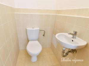 Pronájem bytu 2+kk, Praha - Řeporyje, Wiesenthalova, 69 m2