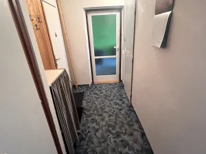 Pronájem bytu 1+1, Plzeň, Nepomucká, 38 m2