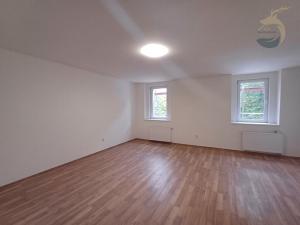 Pronájem bytu 1+1, Stod, Ostrovní, 67 m2
