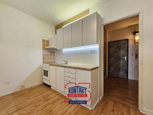 Pronájem bytu 1+1, České Budějovice - České Budějovice 2, 34 m2