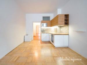 Pronájem bytu 2+kk, Brno - Veveří, Tučkova, 45 m2