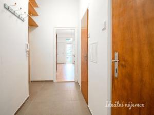Pronájem bytu 2+kk, Brno - Veveří, Tučkova, 45 m2