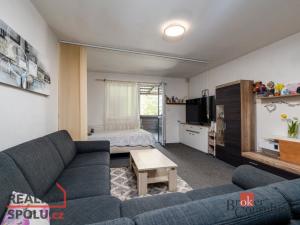 Prodej rodinného domu, Plasy, Potoční, 303 m2