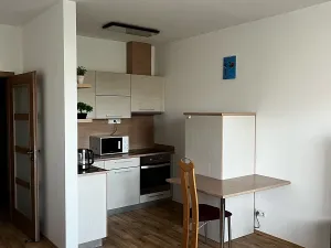 Pronájem bytu 1+kk, Uherské Hradiště, Slovácká, 32 m2