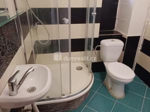 Pronájem bytu 2+1, Děčín - Děčín IV-Podmokly, Bezručova, 49 m2