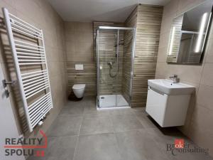 Pronájem bytu 1+kk, Plzeň - Jižní Předměstí, Měděná, 38 m2