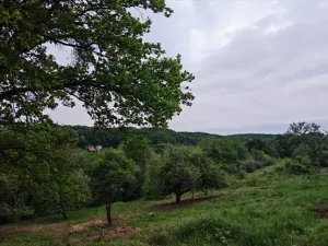 Prodej pozemku pro bydlení, Březnice, 700 m2