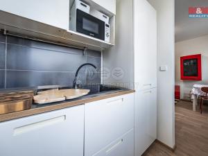 Prodej bytu 2+kk, Kostelec nad Černými lesy - Kostelec nad Černými Lesy, Dr. Trippé, 50 m2
