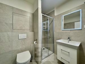 Pronájem bytu 1+kk, Brno, Křenová, 30 m2
