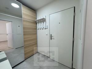 Pronájem bytu 1+kk, Brno, Křenová, 30 m2