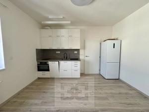 Pronájem bytu 1+kk, Brno, Křenová, 30 m2