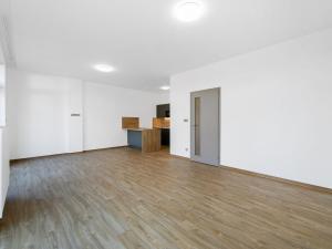Pronájem bytu 1+kk, Plzeň - Severní Předměstí, Bolevecká, 40 m2