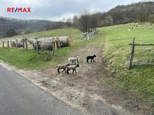 Prodej pozemku pro bydlení, Hlinná, 1249 m2