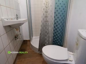Pronájem bytu 1+kk, Kynšperk nad Ohří, Mládeže, 23 m2