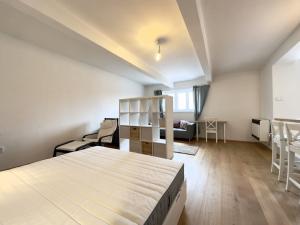 Pronájem bytu 1+1, Praha - Žižkov, Ambrožova, 46 m2