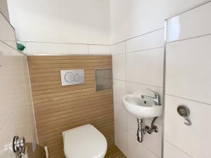 Pronájem bytu 1+1, Praha - Žižkov, Ambrožova, 46 m2